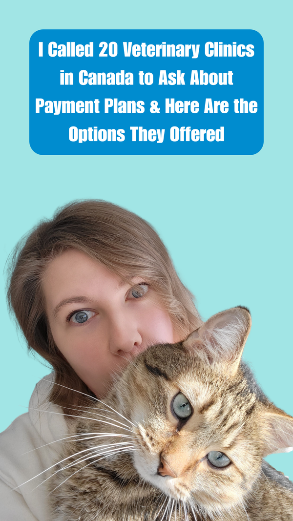 I Called 20 Veterinary Clinics in Canada to Ask About Payment Plans & Here Are the Options They Offered